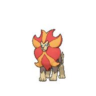 pyroar smogon xy.